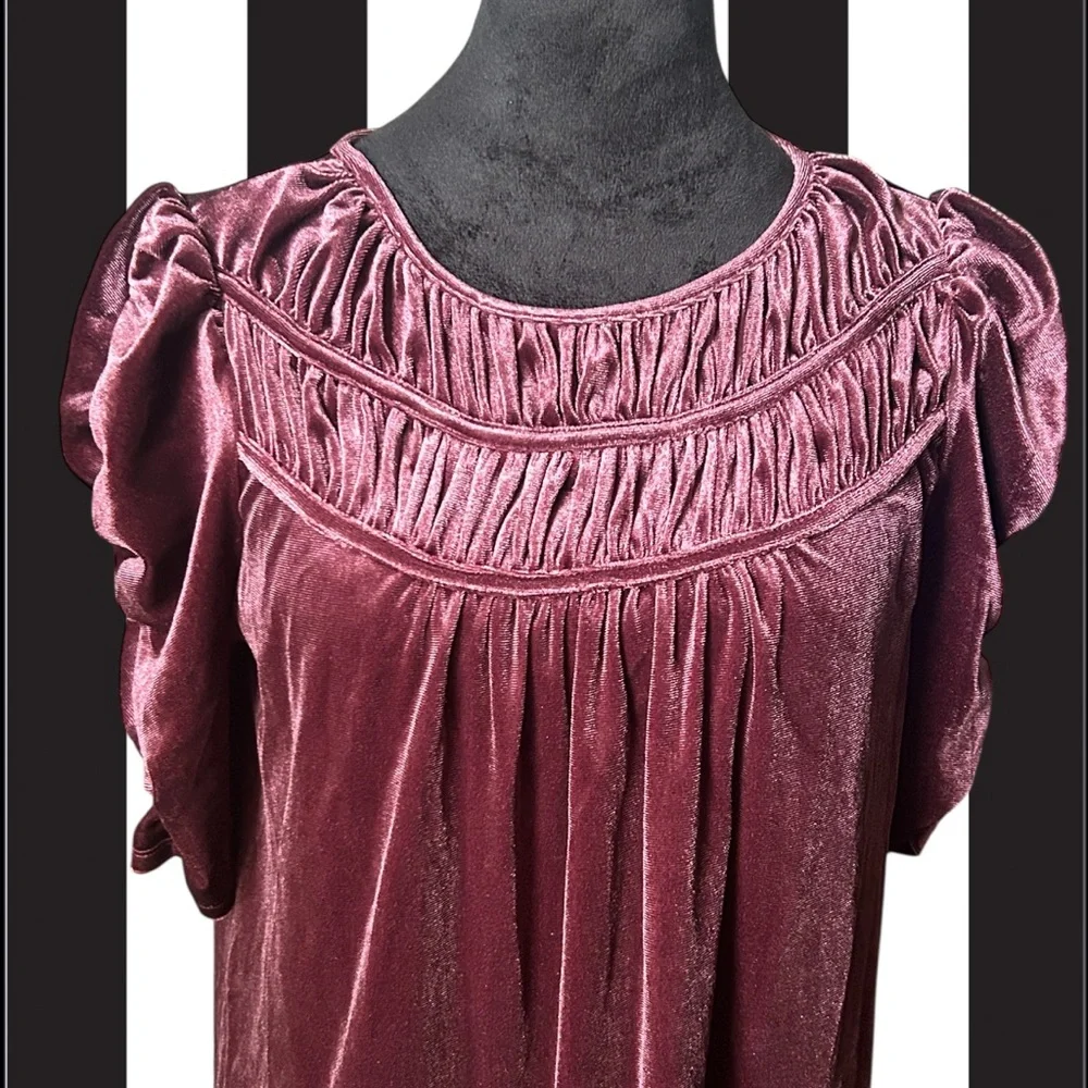 Loft Velvet Romantic Top Size S Wine Size S Whimsigoth Vampire Velour